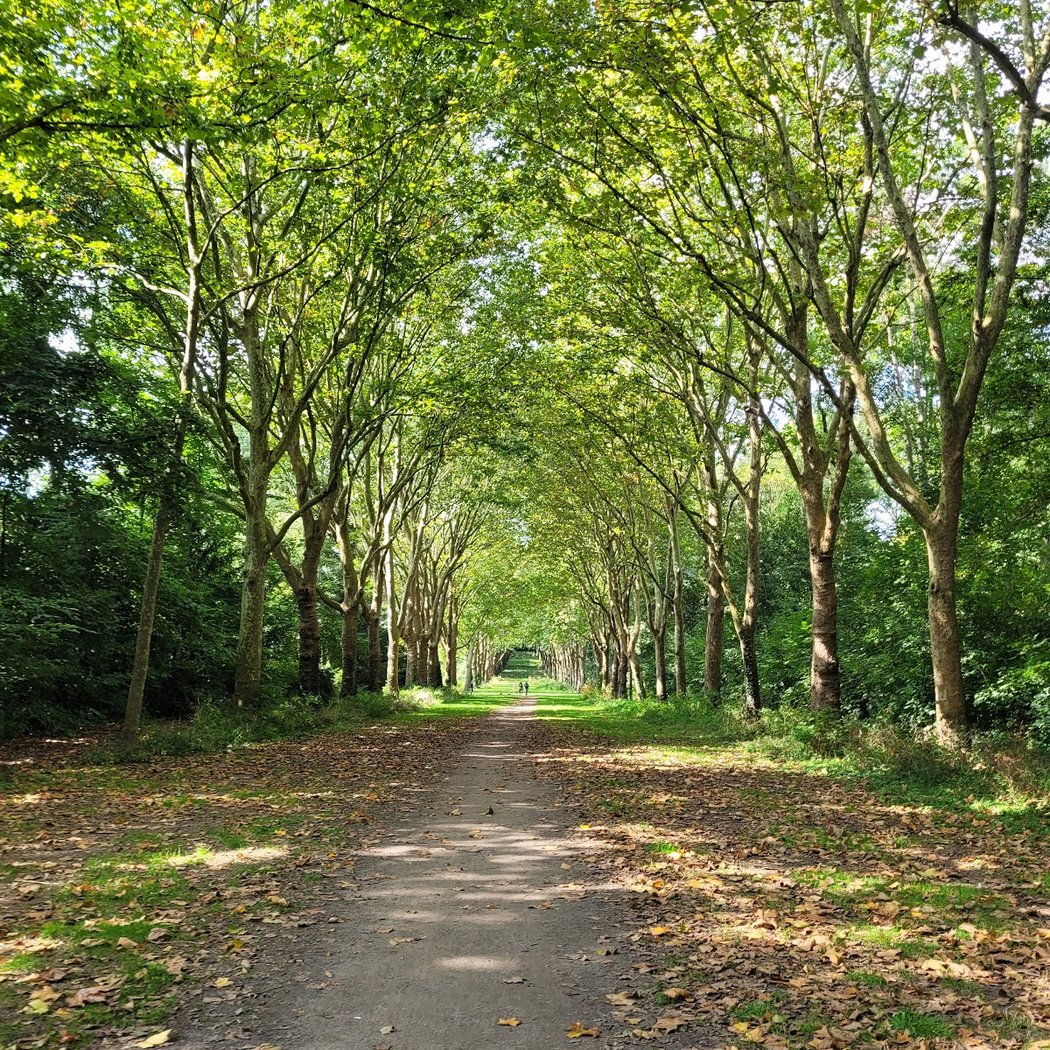Parc Canin de Sceaux 2